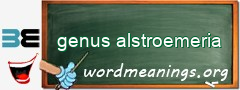 WordMeaning blackboard for genus alstroemeria